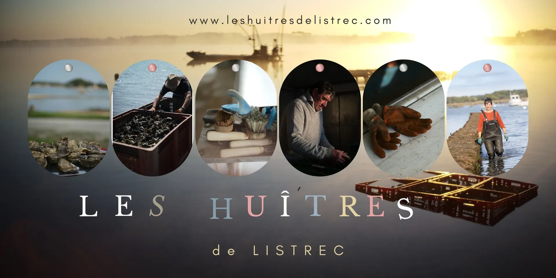 Photo de Les huîtres de Listrec