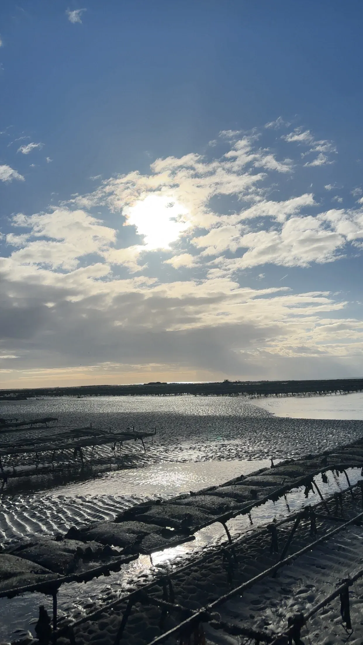 Photo de Scea Ozenne 