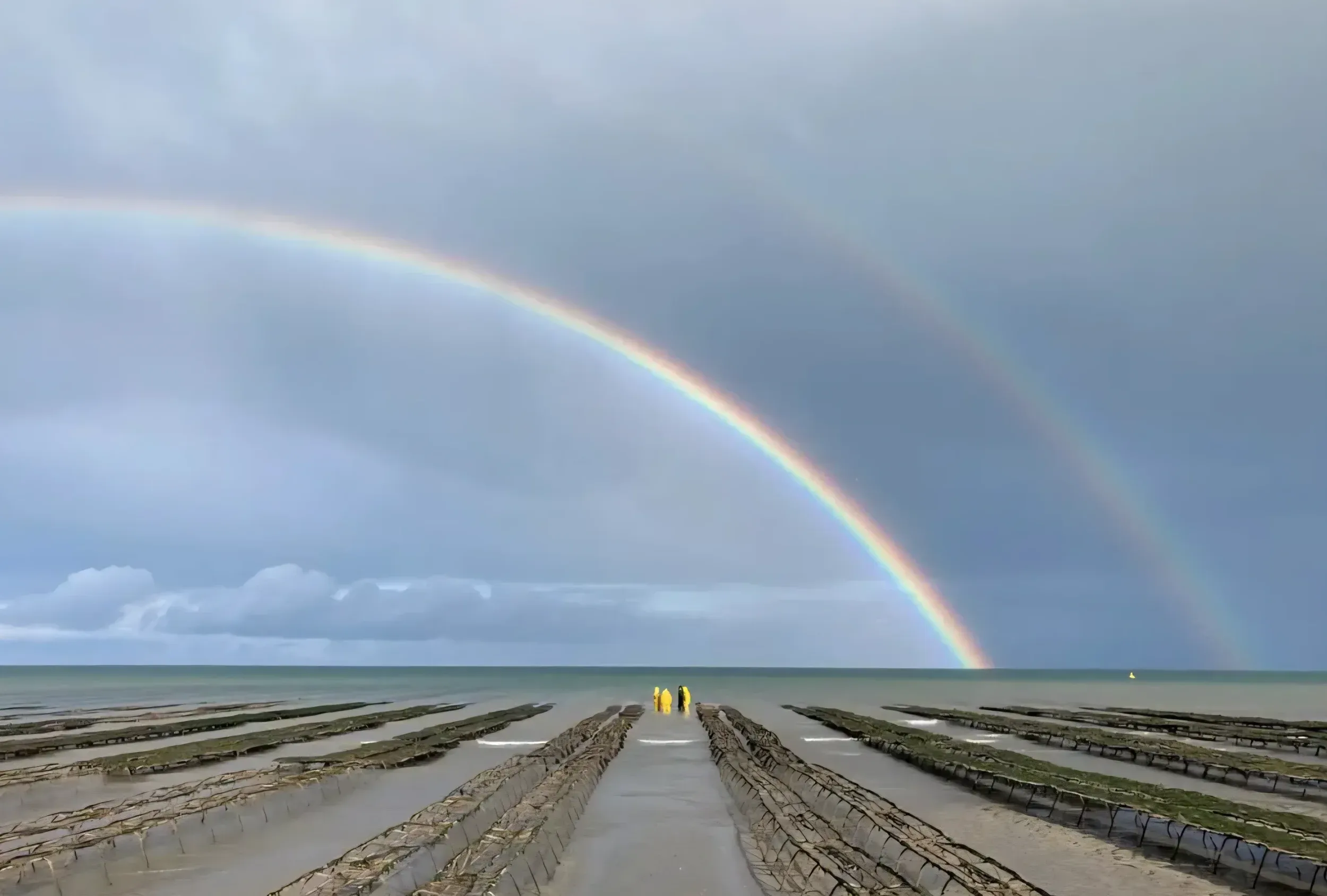 Photo de Ferme Marine du noroit (earl huîtres Marie Quetier)