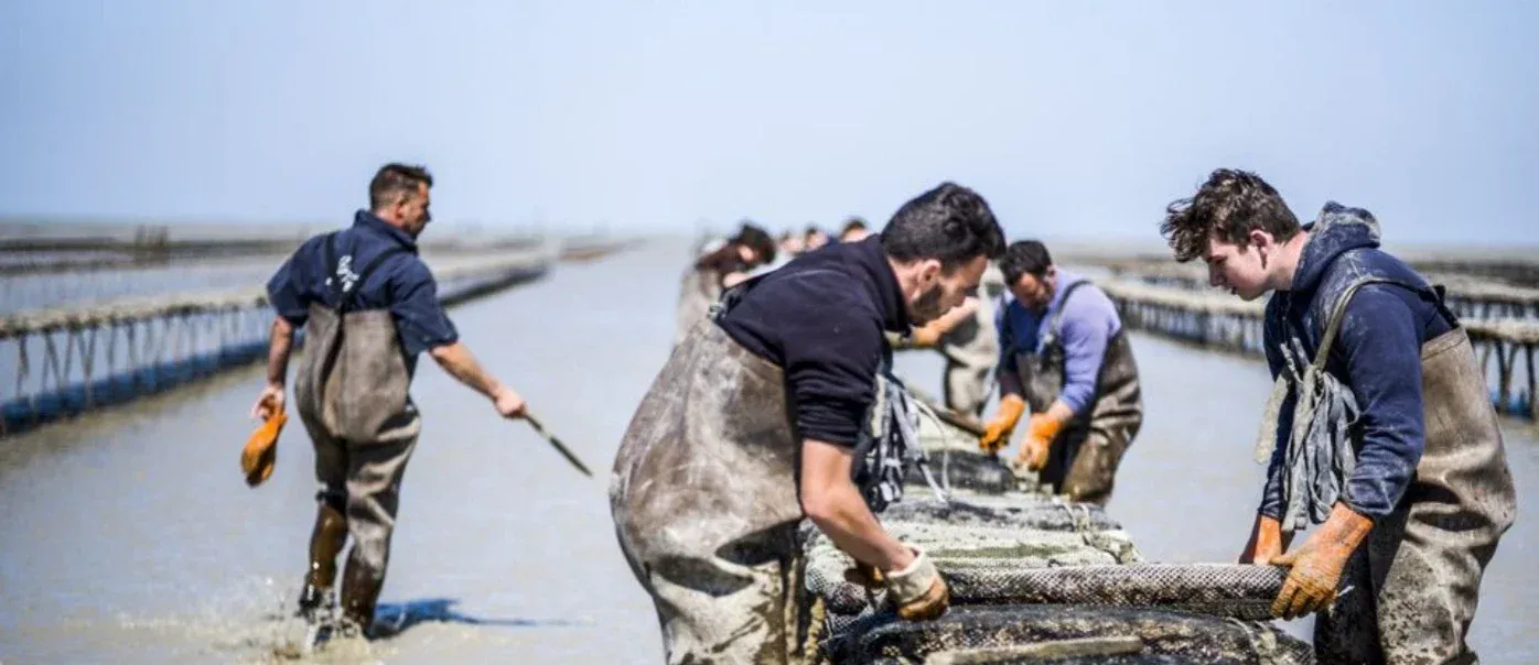 Photo de SCEA Fine de Cancale