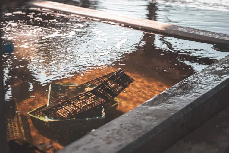 Photo de l'établissement