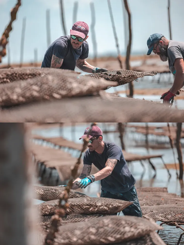 Photo de l'établissement