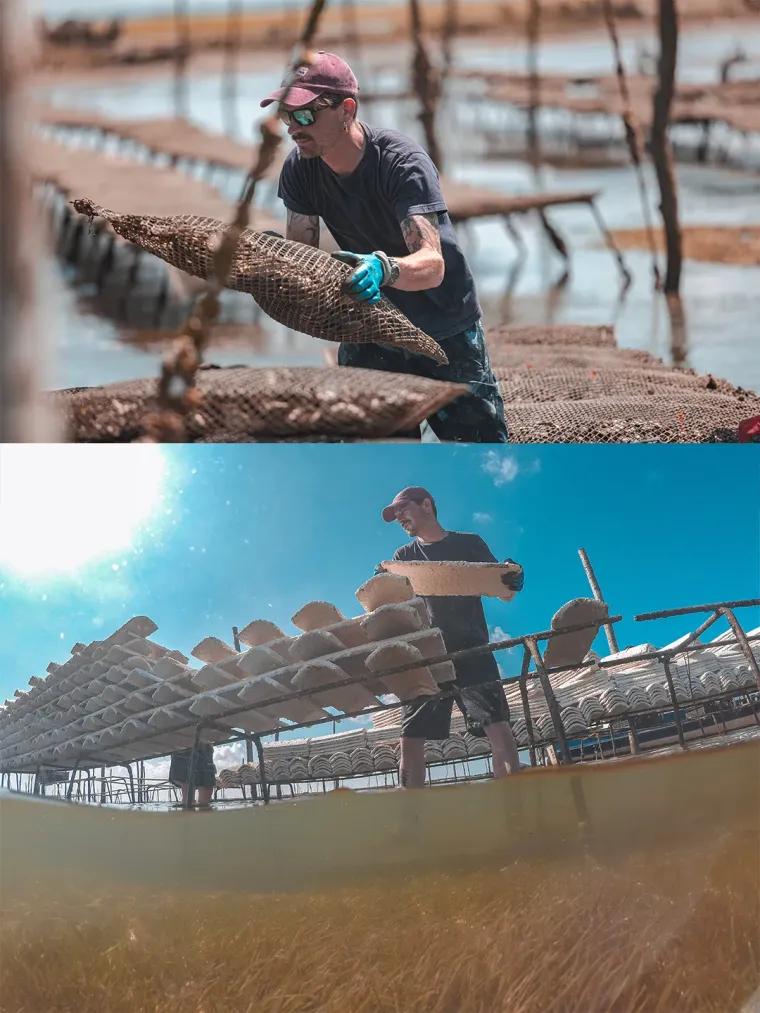 Photo de l'établissement