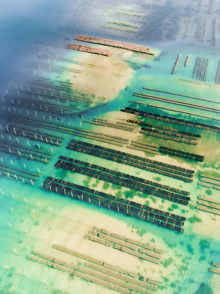 Photo de l'établissement