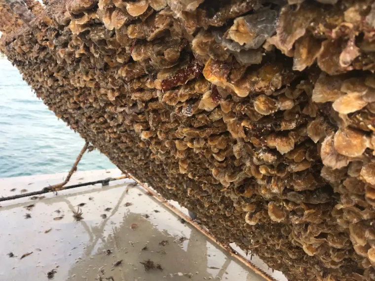 Photo de l'établissement