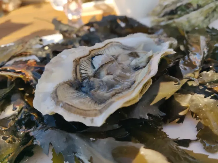 Photo de l'établissement