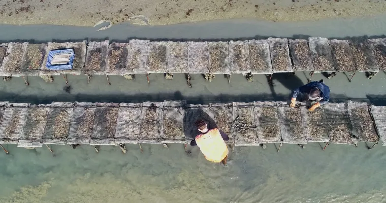 Photo de l'établissement