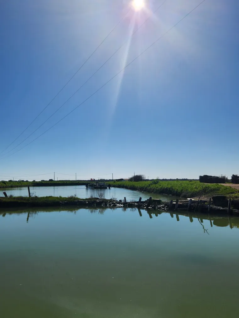 Photo de l'établissement