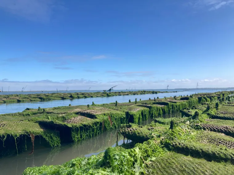Photo de l'établissement