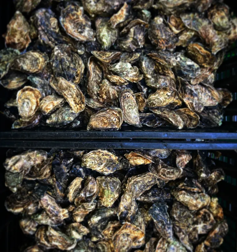 Photo de l'établissement