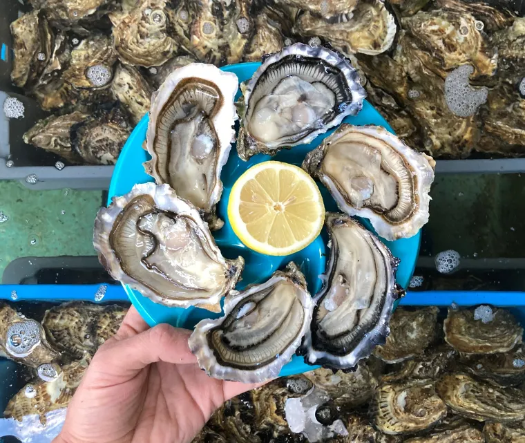 Photo de l'établissement