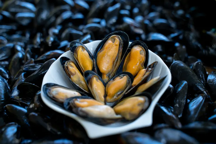 Photo de l'établissement