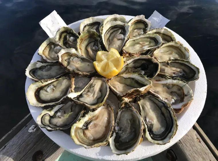 Photo de l'établissement