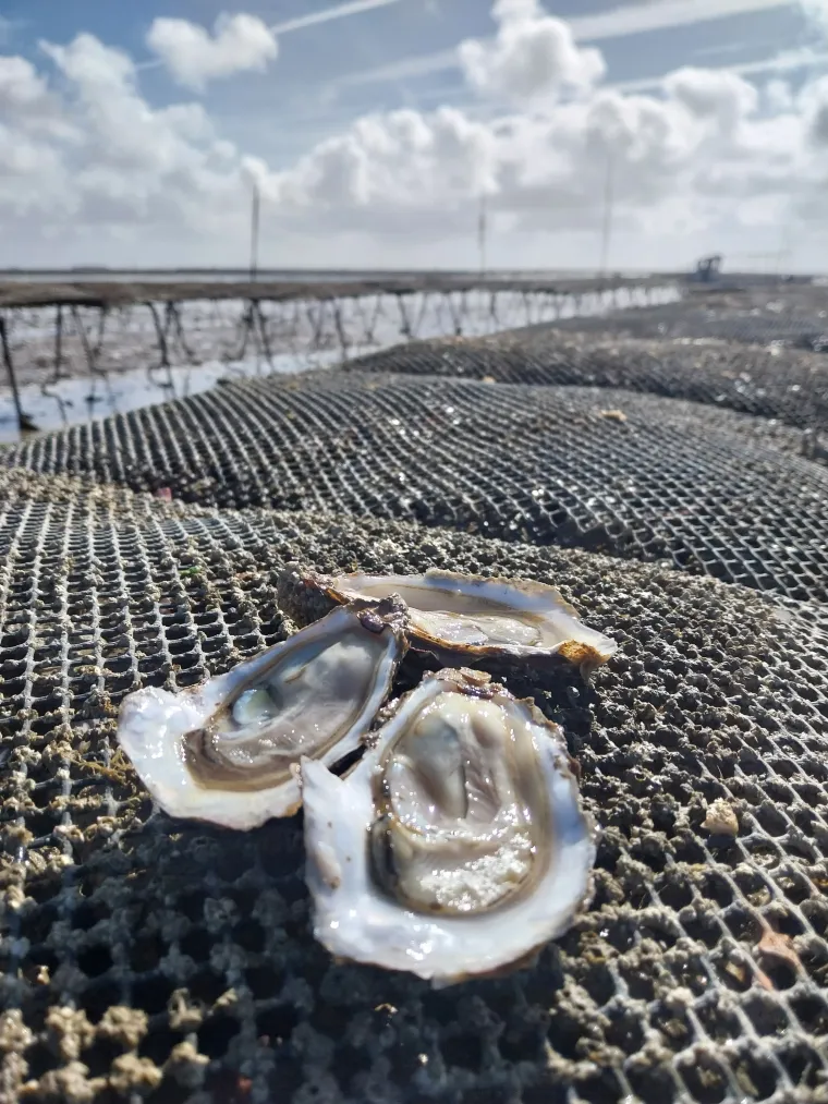 Photo de l'établissement