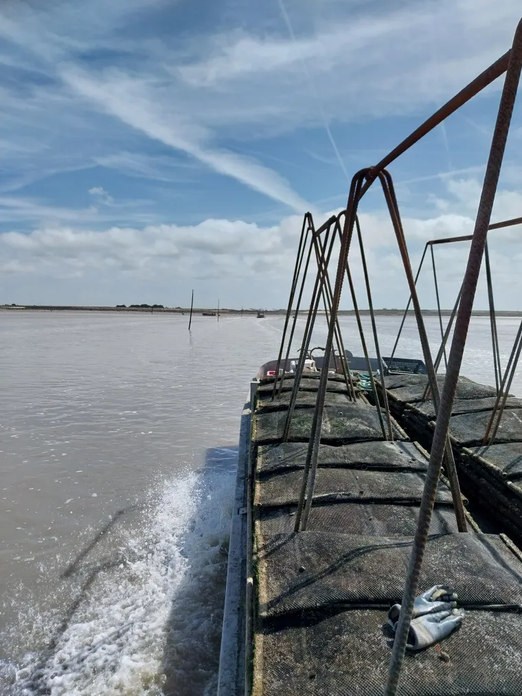 Photo de l'établissement