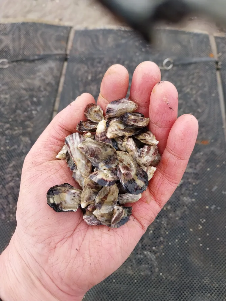 Photo de l'établissement