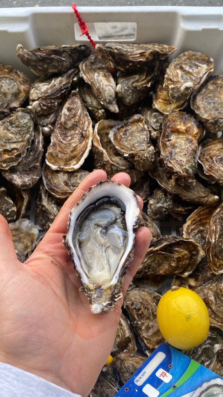 Huîtres Les Fines de Vendée Huîtres Charrier & Fils — Bouin