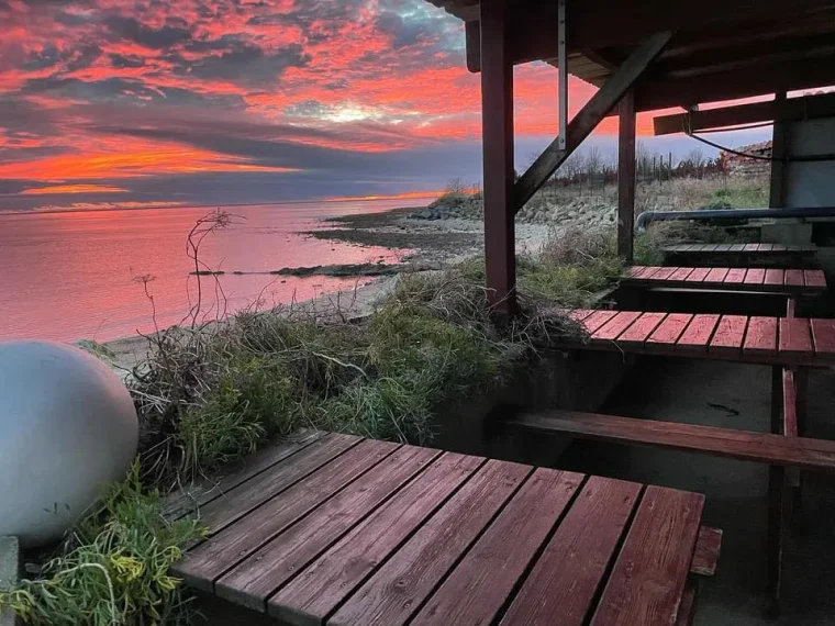 Huîtres Maison Margat — Fouras