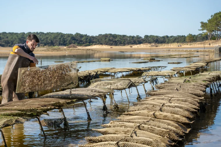 Huîtres La Cabane du Payré — Talmont-Saint-Hilaire