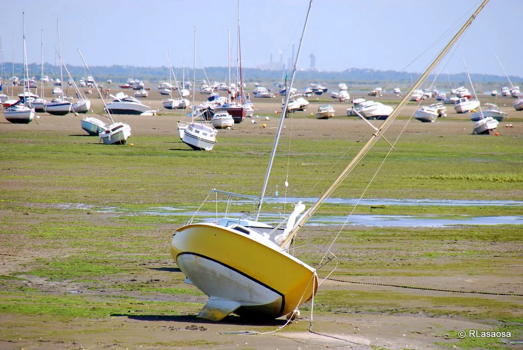 Huîtres à Andernos-les-Bains