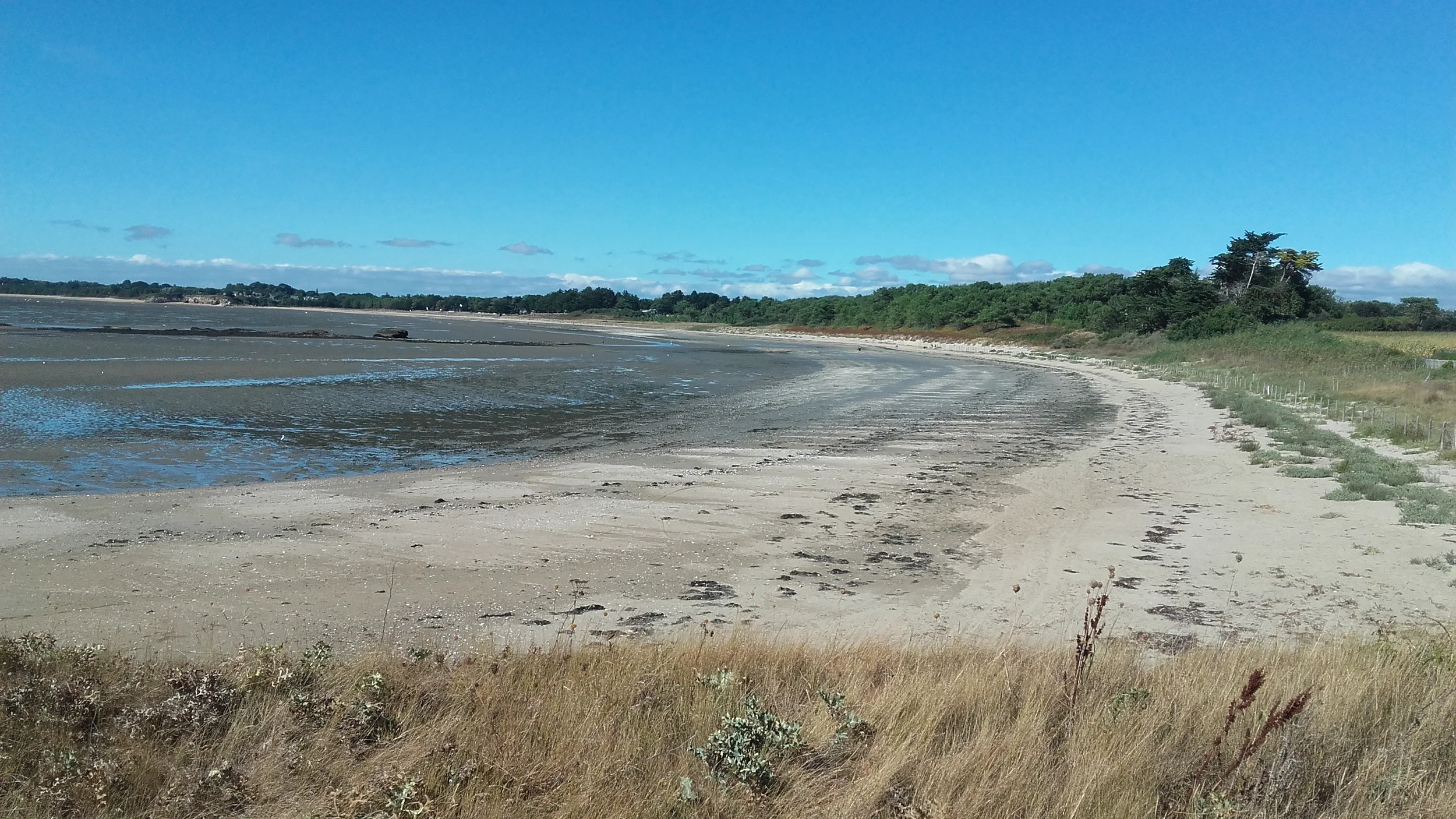 Huîtres à Assérac